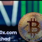 Crypto30x.com Gigachad